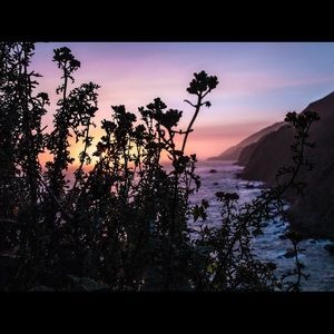 Meet your Posher, Allen